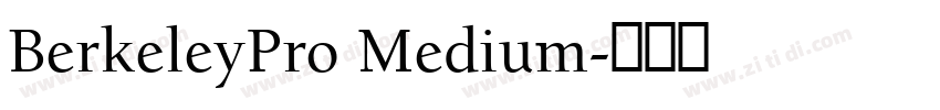 BerkeleyPro Medium字体转换 BerkeleyPro Medium字体转换